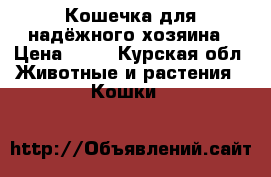 Кошечка для надёжного хозяина › Цена ­ 10 - Курская обл. Животные и растения » Кошки   